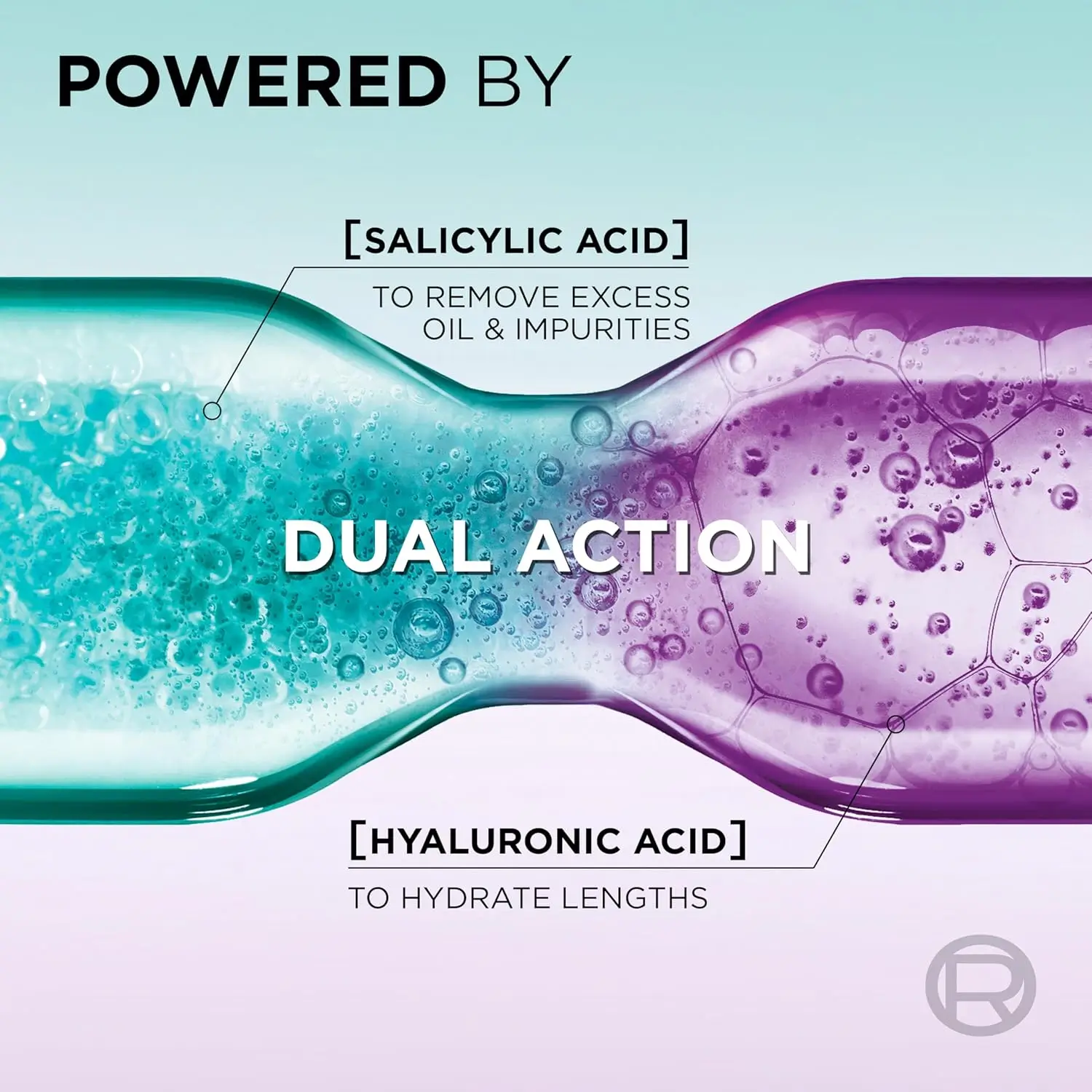 LOreal Elvive Hyaluron Pure Purifying Shampoo (400ml | Egypt)