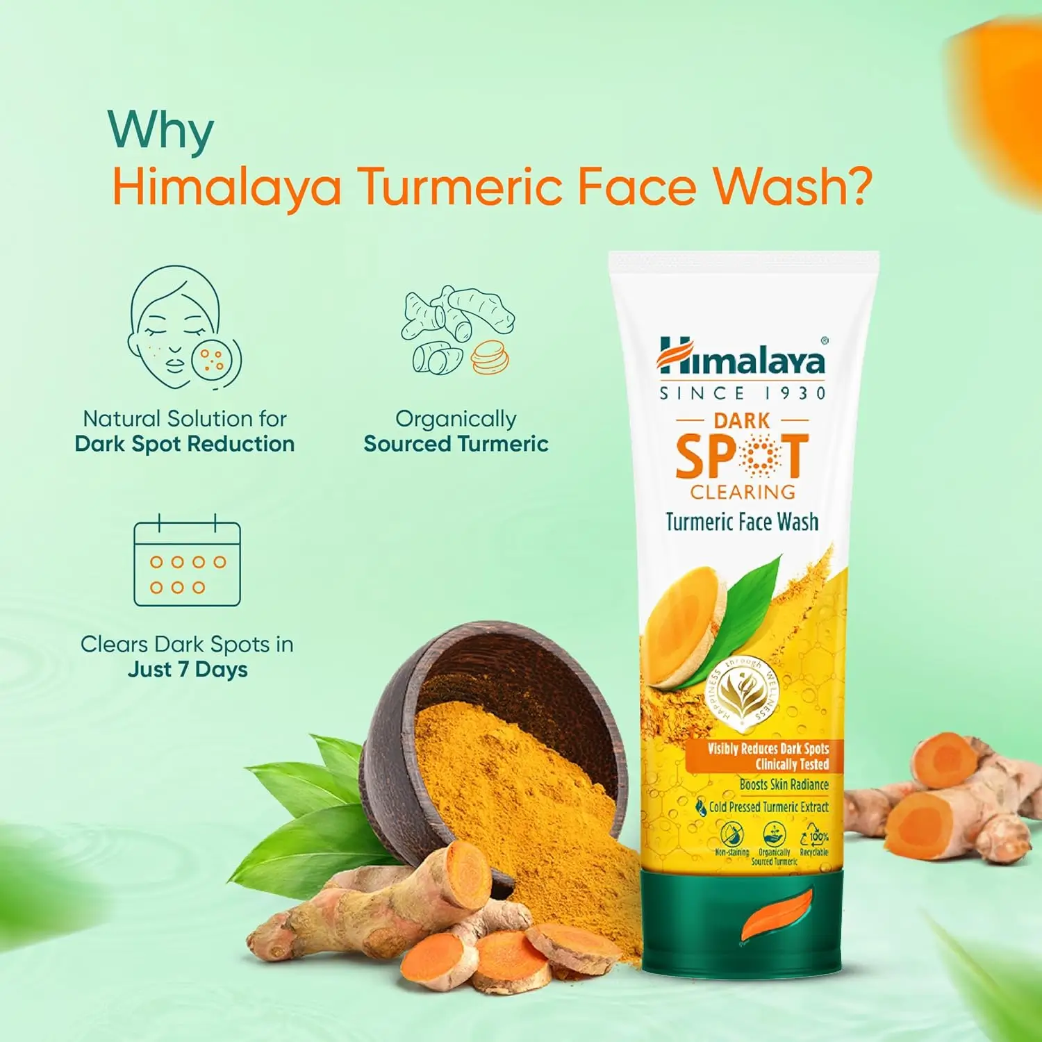 Himalaya Dark Spot Clearing Turmeric Face Wash