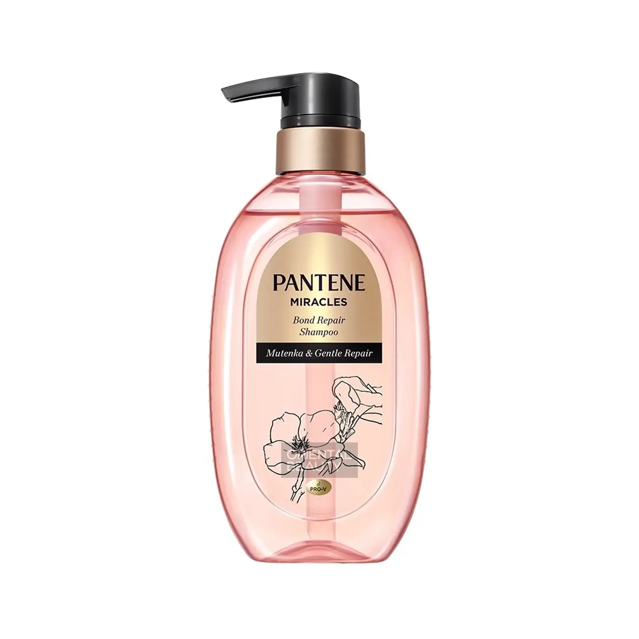 Pantene Miracles Bond Repair Shampoo Mutenka & Gentle Repair (440g | Thailand)