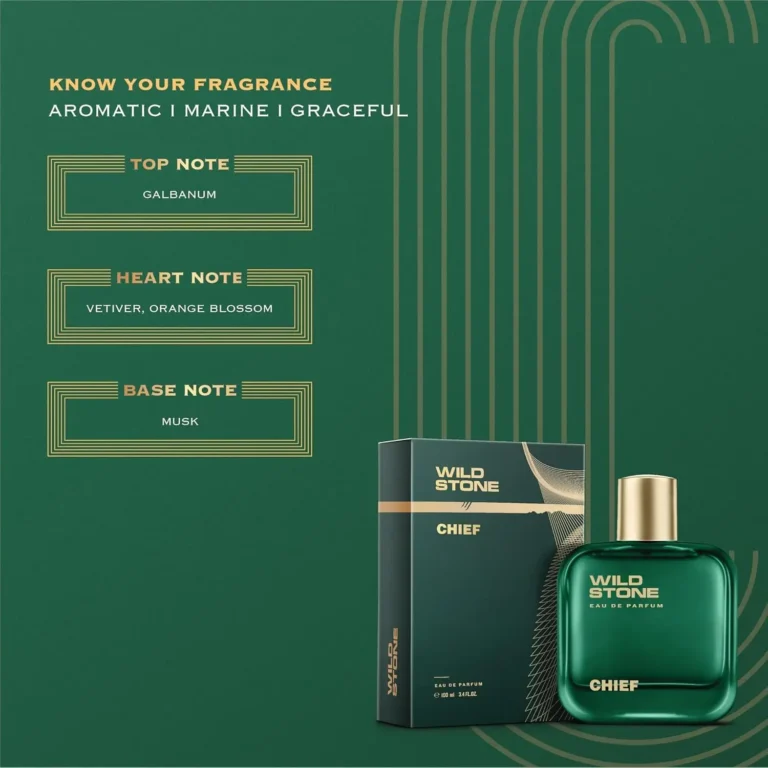 Wild Stone Chief Perfume for Men 100ml
